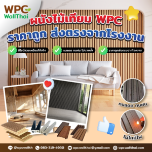 ผนังไม้เทียม WPC ราคาถูก เชียงใหม่ – สวย ทนทาน ส่งตรงจากโรงงาน